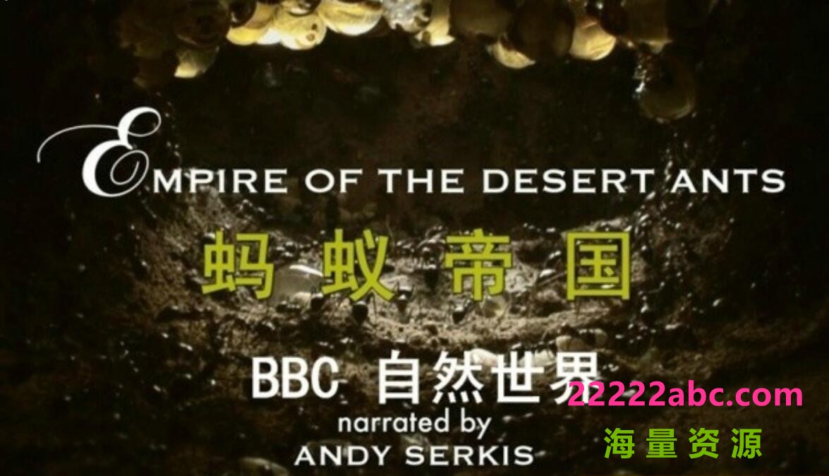 BBC自然世界 720P高清纪录片《蚂蚁帝国 Empire of the Desert Ants 2010》全集下载