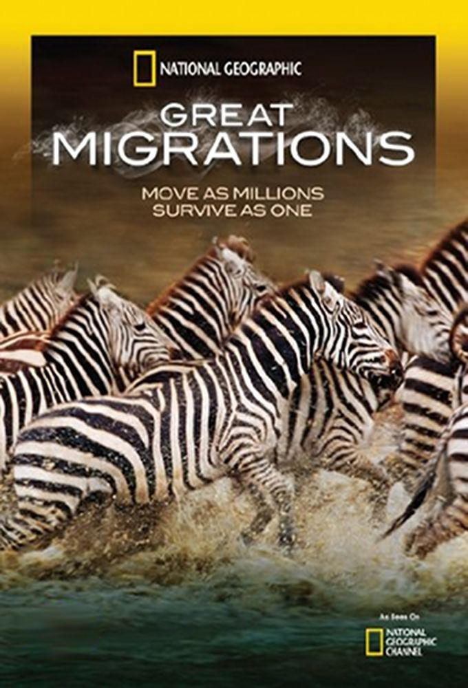 [大迁徙 Great Migrations 第一季][全04集][英语中字]
