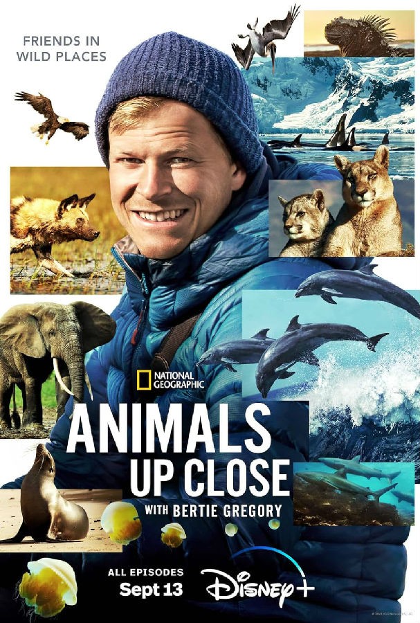 [贝尔蒂·格雷戈里：与动物零距离 Animals Up Close 第一季][全06集][英语中字]
