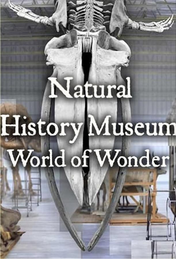 [英国自然历史博物馆：神奇世界 Natural History Museum 第一季]...4k高清|1080p高清