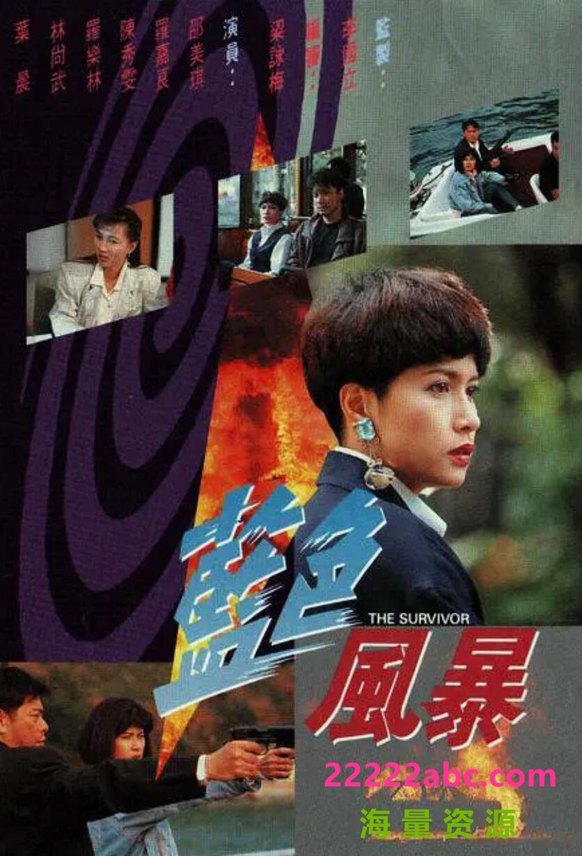 [香港/TVB/1991]蓝色风暴 [20集全/每集约280MB][粤语]