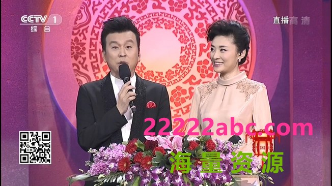 [2015][内地]《CCTV2015中国谜语大会第二季》 3期全[HD_8.5G]|综艺节目|下载|4k高清|1080p高清