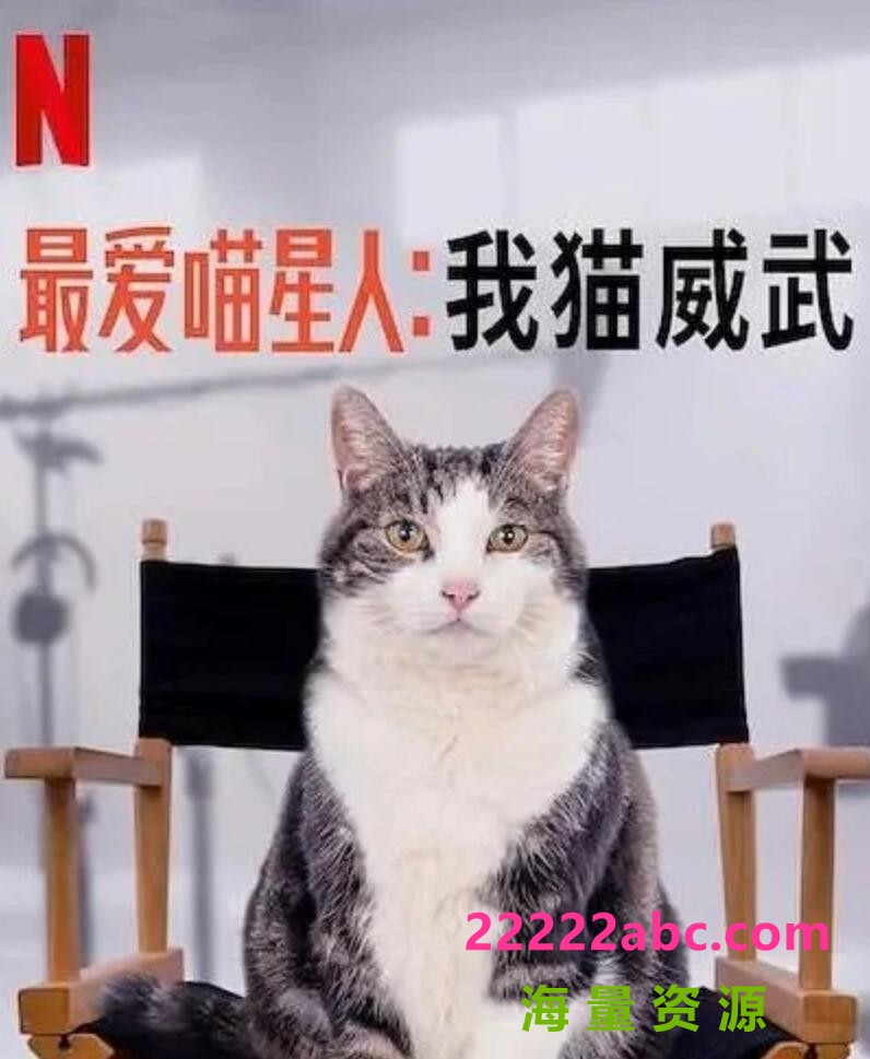 2021纪录片《最爱喵星人：我猫威武》HD1080P.中文字幕