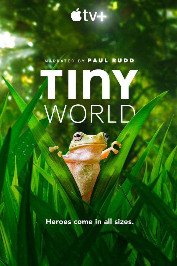 [小小世界 Tiny World 第二季][全06集]4k高清|1080p高清