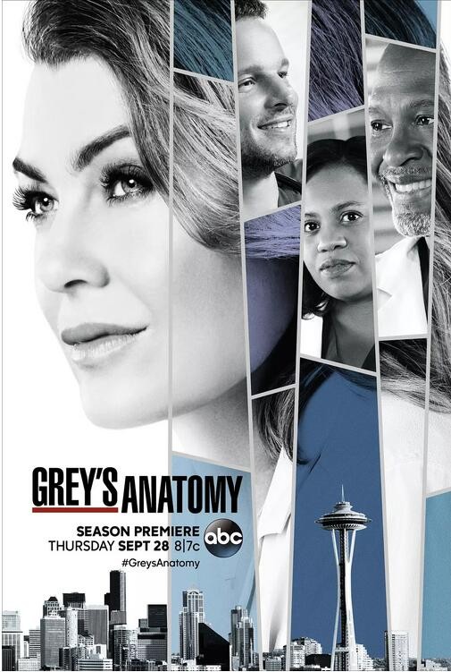 [实习医生格蕾/Greys Anatomy 第十四季][全24集]4k高清|1080p高清