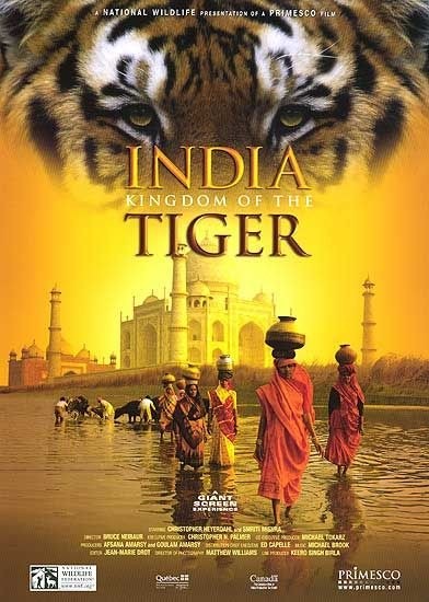 《印度：老虎王国》