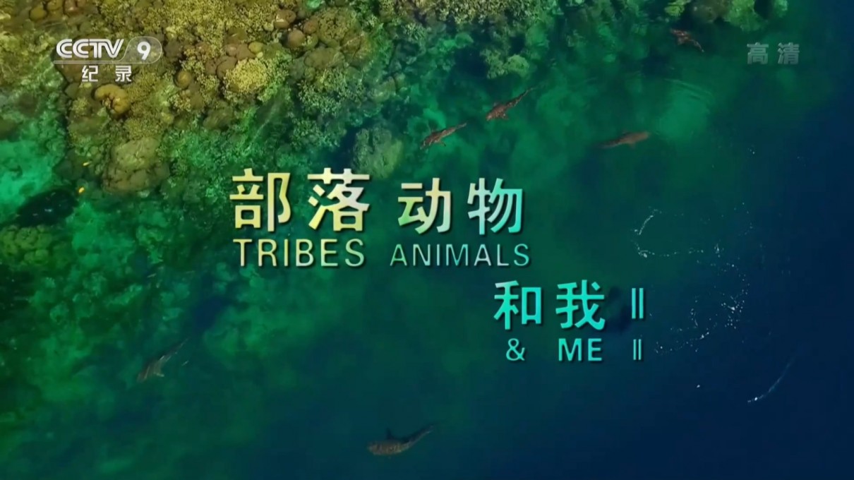 《部落 动物和我Ⅱ：与金雕为伴》
