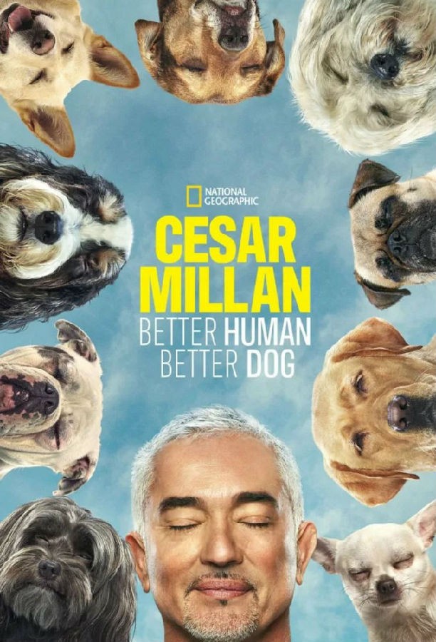 [Cesar Millan: Better Human Better Dog 第一季][全集]4k高清|1080p高清
