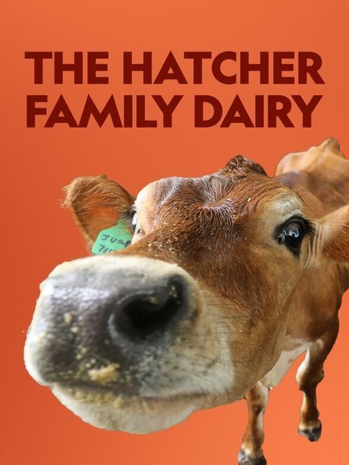 [The Hatcher Family Dairy][全集]4k高清|1080p高清