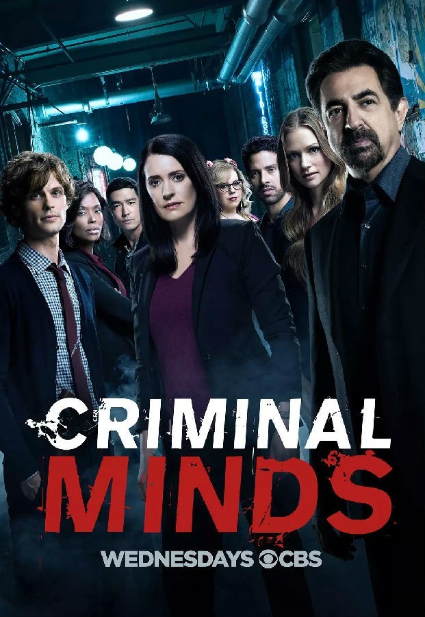[犯罪心理/Criminal Minds 第十三季][全22集]4k高清|1080p高清