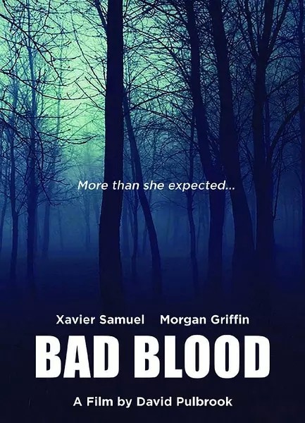 [血仇/坏血 Bad Blood 第一季][全06集]4k高清|1080p高清