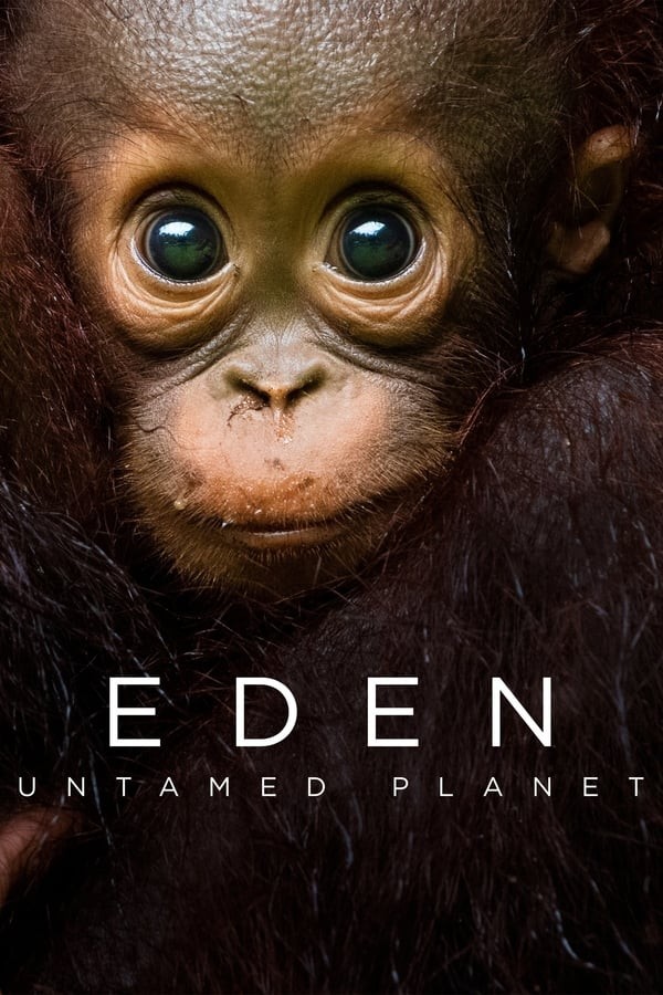 [伊甸园：最后的秘境 Eden: Untamed Planet 第一季][全6集]4k高清|1080p高清