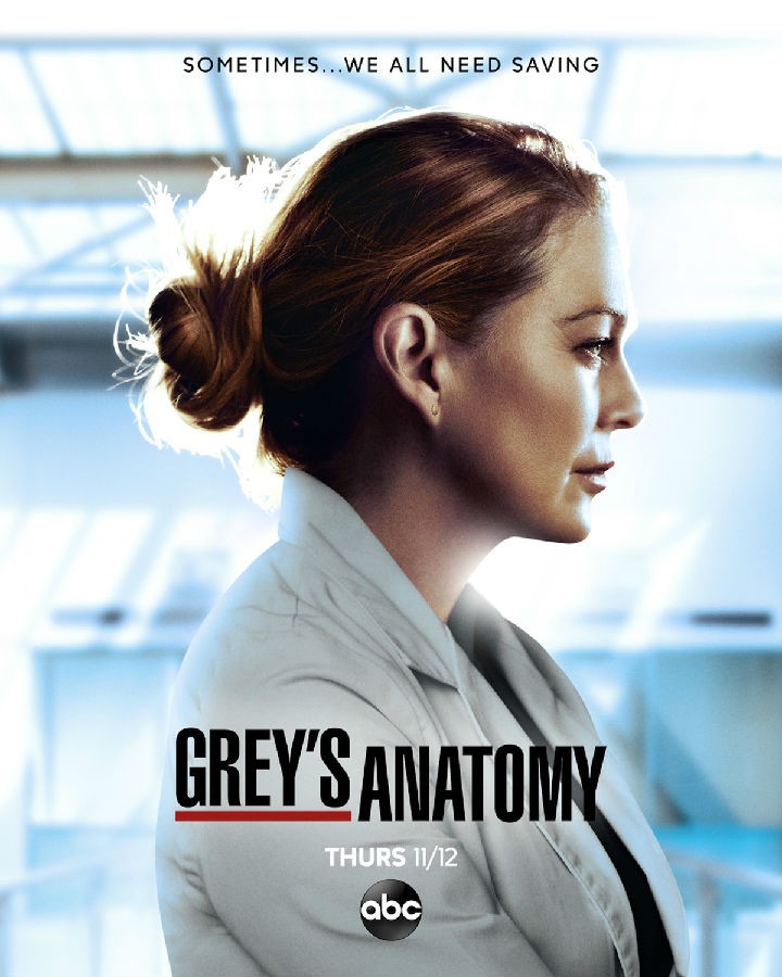 [实习医生格蕾/Greys Anatomy 第十七季][全集]4k高清|1080p高清