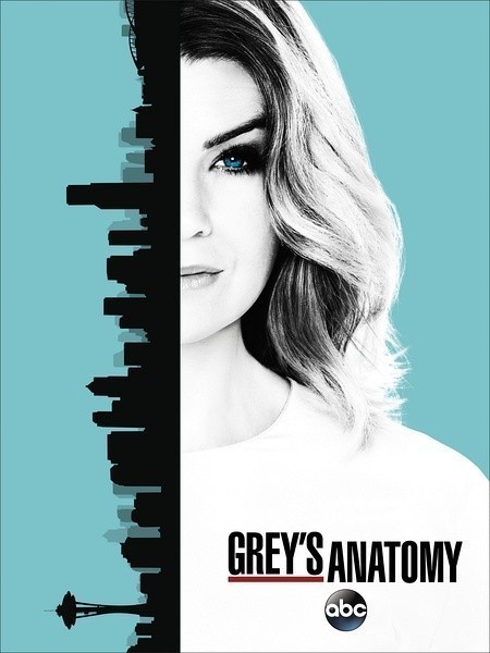 [实习医生格蕾/Greys Anatomy 第十三季][全24集]4k高清|1080p高清
