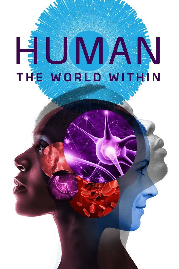 [人类：体内的世界 Human: The World Within][全06集][英语中字]4k高清|1080p高清