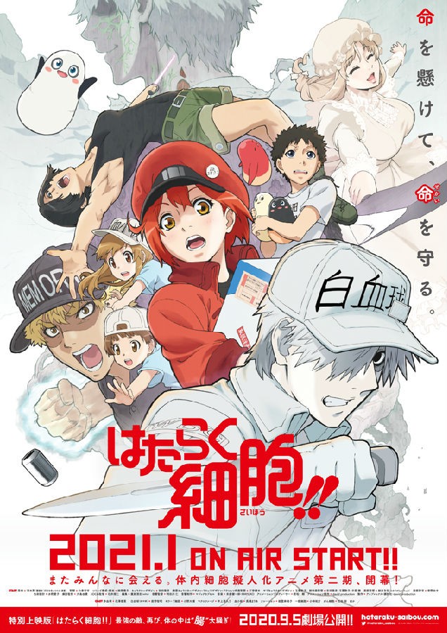 [工作细胞 Hataraku Saibou!! 第2季][全集][日语中字]4k高清|1080p高清