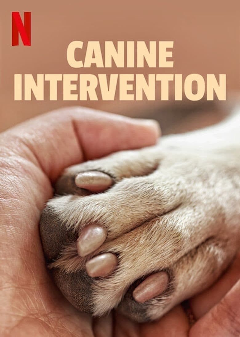 [驯犬师/犬类干预/Canine Intervention][全06集]